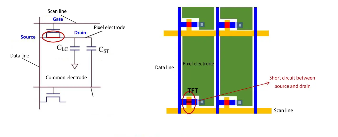 f1562f6a609576a